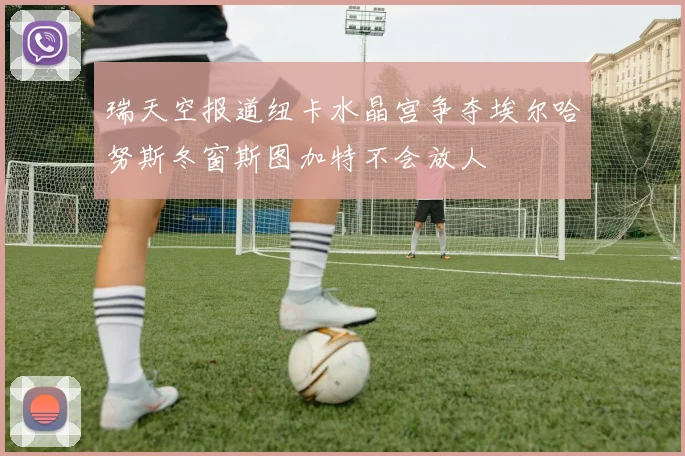 瑞天空报道纽卡水晶宫争夺埃尔哈努斯冬窗斯图加特不会放人