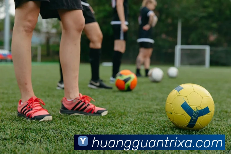 皇冠体育平台生态图